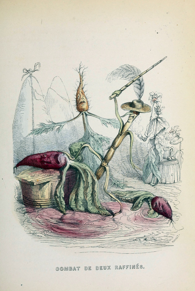 Ein Buchumschlag mit einem Mann in langem dunklem Mantel und Hut sowie einer Frau in Schürze und Kleid, beide in Kampfstellung mit entschlossener Miene, mit dem Text "Combat deux raffinés".