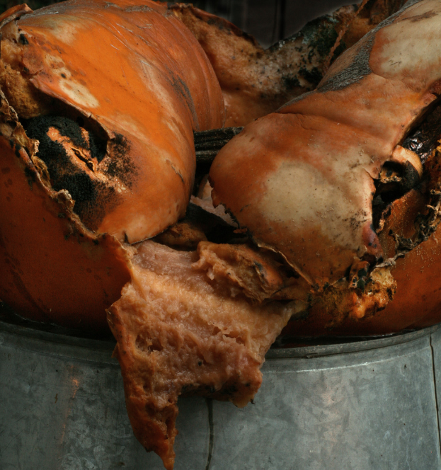 Ein Fleischst├╝ck liegt auf einem Tisch.