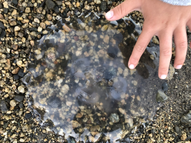 Die Hand eines Kindes, das aus einer Pfütze auf dem Boden herausragt.