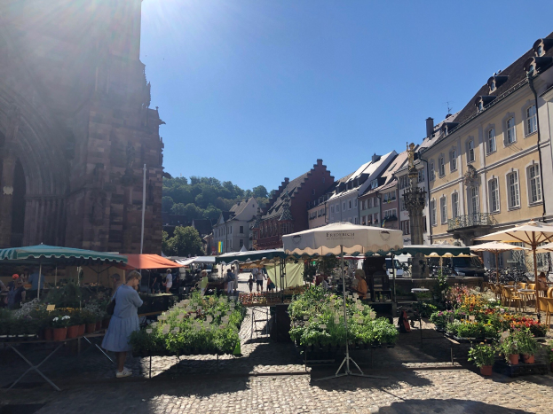 Ein belebter Markt im alten Stadtzentrum von Heidelberg mit Menschen an Tischen mit Blumentöpfen und Schirmen, vor Häusern, Bäumen und einem klaren blauen Himmel.