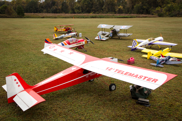 Flugzeuge auf dem Gras mit Bäumen im Hintergrund.