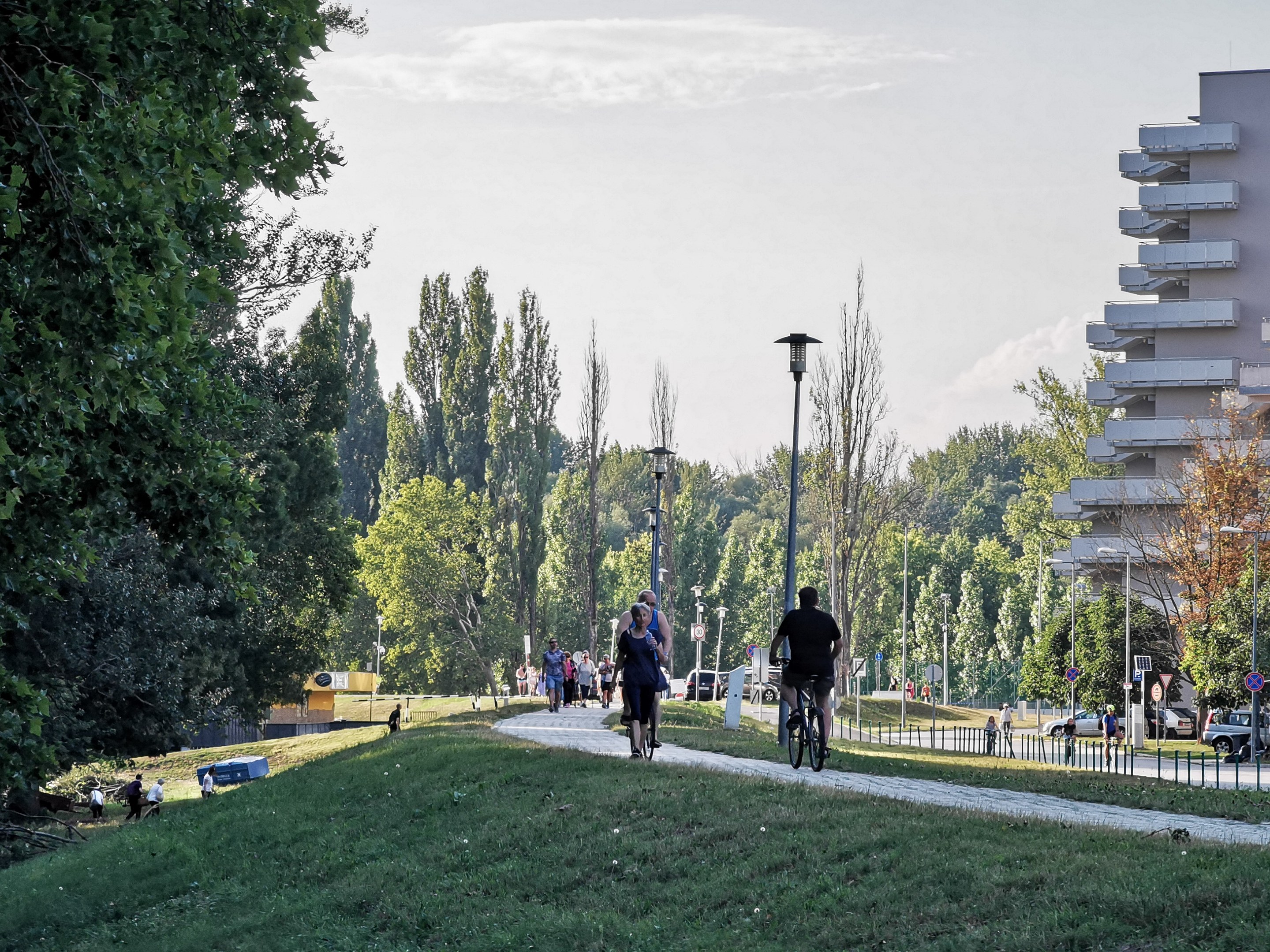 Eine Gruppe von Menschen, die auf Fahrrädern eine Parkweg entlangfahren, mit Bäumen, Straßenlaternen und Gebäuden im Hintergrund.