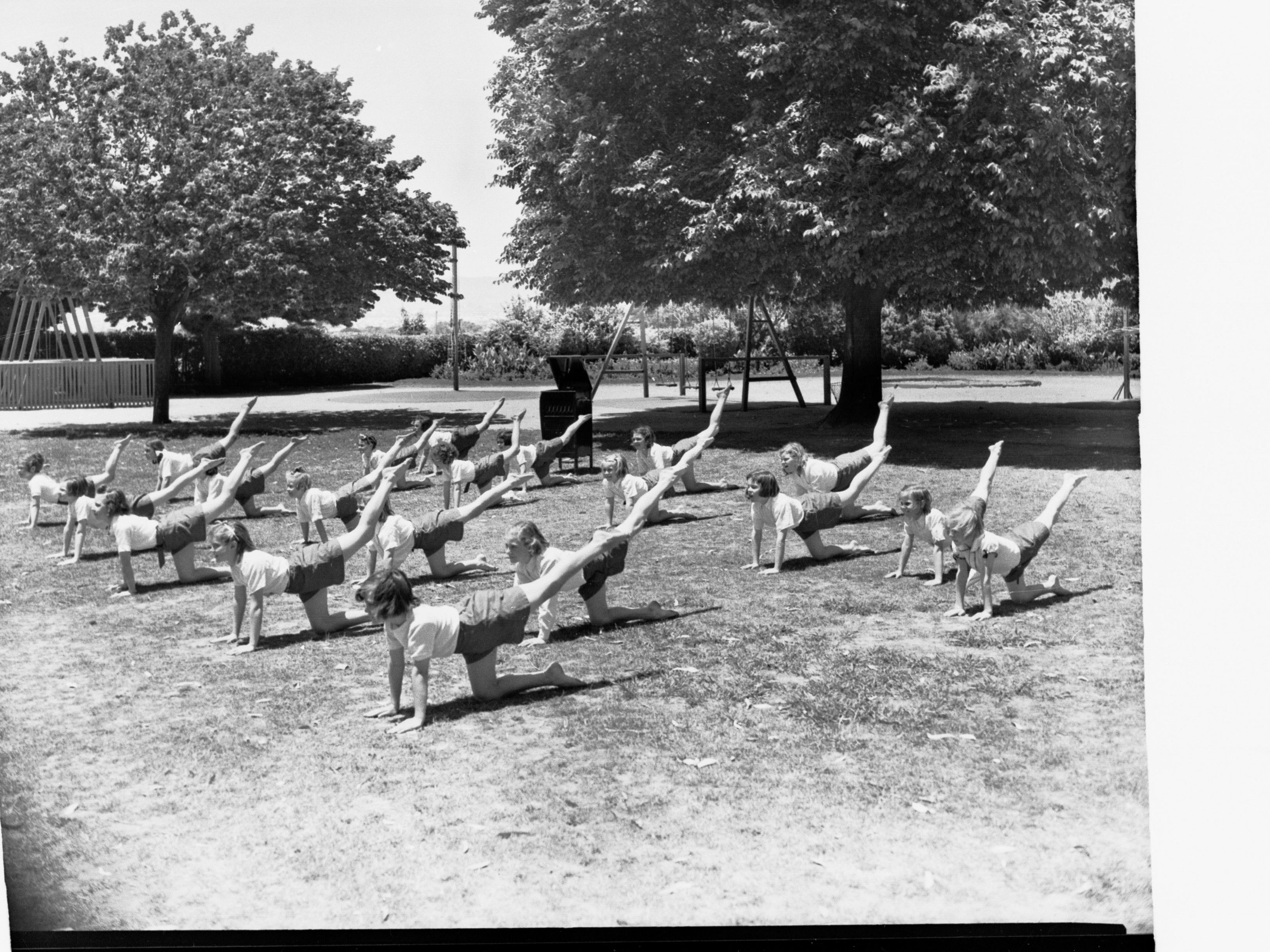 Schwarz-weiß-Foto einer Gruppe von Menschen, die Yoga in einem Park umgeben von Bäumen und Pflanzen machen.