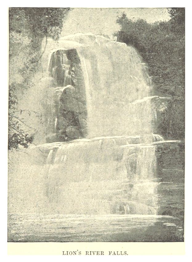 Ein majestätischer Wasserfall ergießt sich über eine felsige Klippe, umgeben von üppigen Bäumen, mit dem Text "Löwenflussfälle" unten.