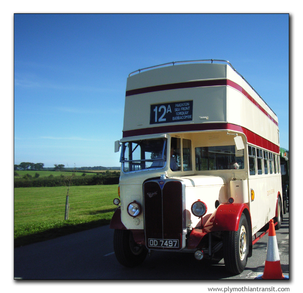 Eine Person in einem Fahrzeug auf einer Straße mit Bäumen, Gras und Himmel links, einem Verkehrskegel und einem Wasserzeichen in der rechten unteren Ecke.