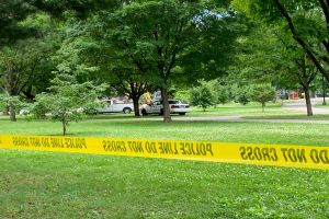 Ein grasbewachsenes Gebiet mit gelbem Absperrband in der Mitte, umgeben von Bäumen und Fahrzeugen auf der Straße, wahrscheinlich zeigt die Szene die Nachwirkungen einer Schießerei in einem Park.
