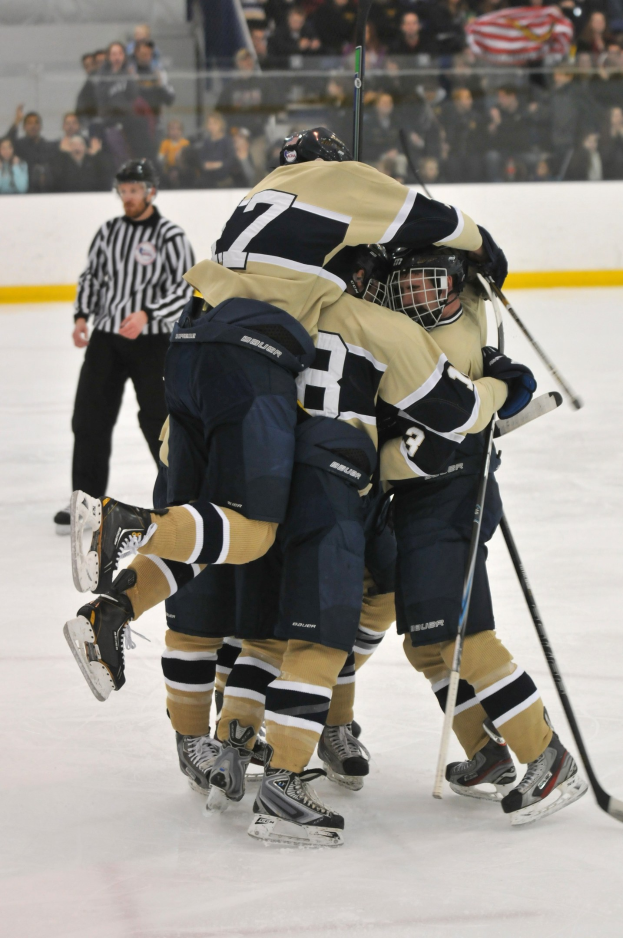 Gruppe von Eishockeyspielern in Uniform, die sich auf dem Eis während eines Spiels zusammenkauern, mit Zuschauern im Hintergrund.