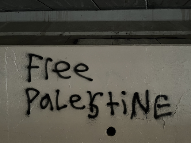 Schwarze Graffiti-Schriftzug "free palestine" an einer Wand, beleuchtet von oben.