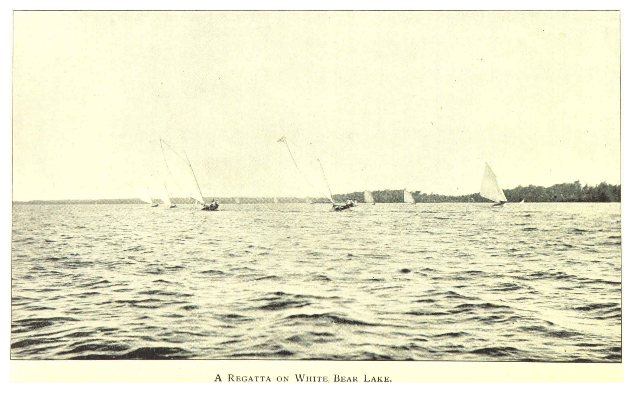 Regatta am Wei├čen Bär See mit Booten auf dem Wasser, Tieren im Hintergrund und Text unten.