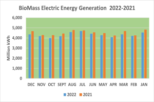 Liniengraph, der die elektrische Energieerzeugung aus Biomasse von 2021 bis 2022 zeigt, mit begleitendem erklärendem Text.