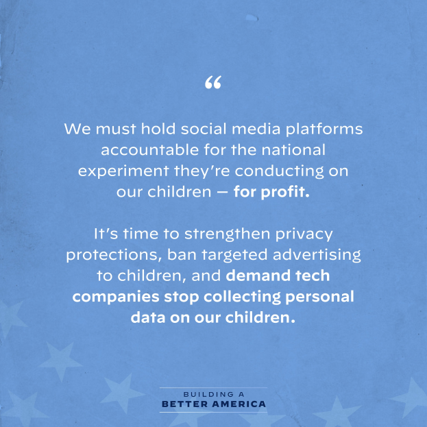 Ein Plakat mit einem Zitat aus Building a Better America, das besagt: "Wir müssen Social-Media-Plattformen für das nationale Experiment zur Verantwortung ziehen, das sie an unseren Kindern durchführen - zum Profit.", geschmückt mit Sternen.