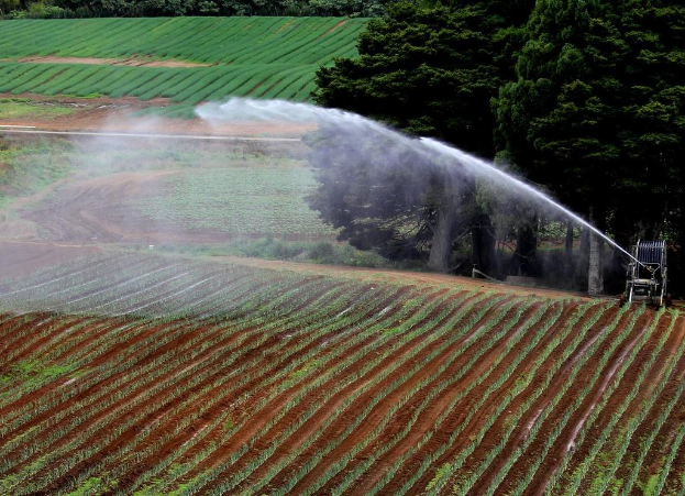 Landwirtschaftliches Feld mit verschiedenen Pflanzen, einer Bewässerungsmaschine im Vordergrund und einer Baumreihe mit weiteren Kulturen dahinter.