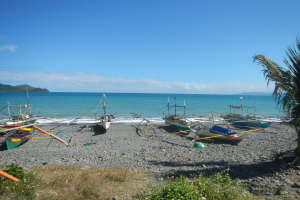 Ein Strand mit mehreren Booten darauf, umgeben von saftigem Grün und bunten Blumen, mit majestätischen Bergen und einem klaren blauen Himmel im Hintergrund.