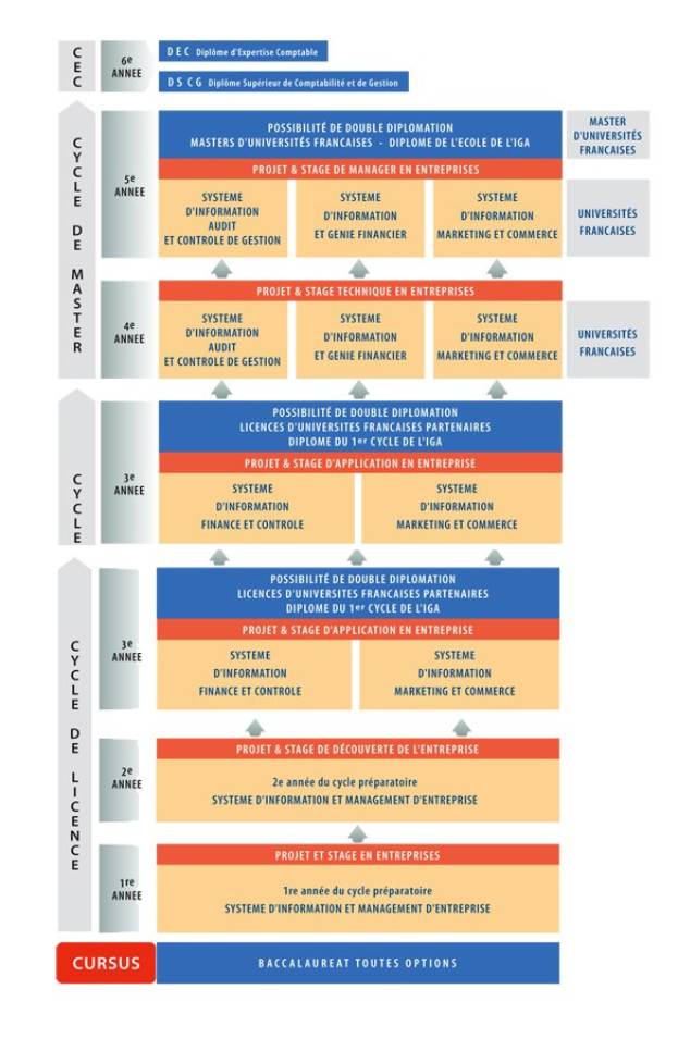 Diagramm, das die organisatorische Struktur eines Unternehmens mit interconnected boxes darstellt, die verschiedene Phasen des Geschäfts growths and developments repräsentieren, begleitet von beschreibendem Text.