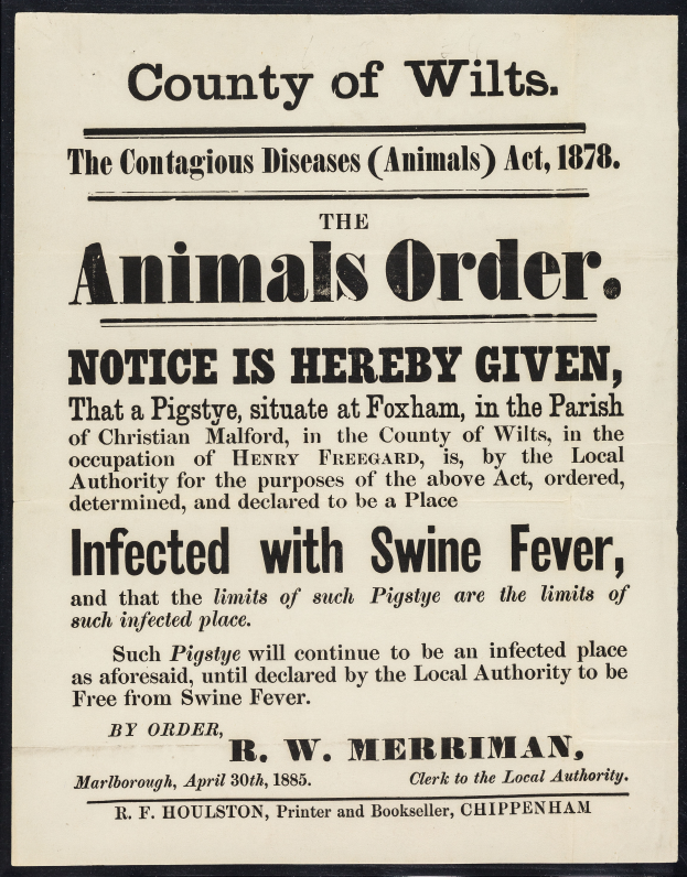 Ein Plakat mit Text, das eine Bekanntmachung nach dem Tierseuchengesetz von 1878 ankündigt, die sich auf die Afrikanische Schweinepest in Wiltshire bezieht.