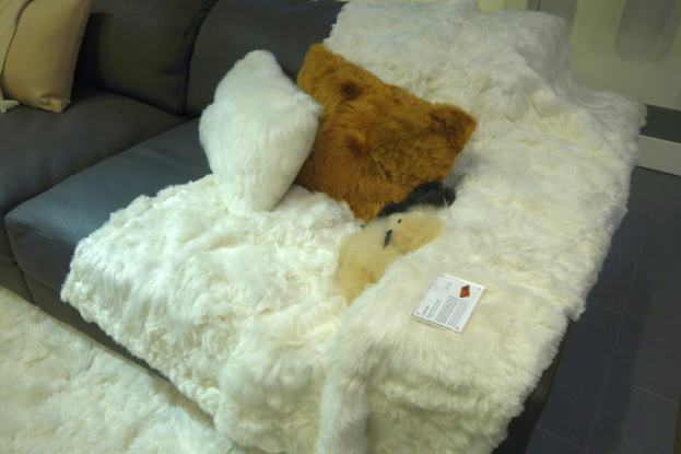 Ein gemütliches Wohnzimmer mit einer Couch, die mit Kissen und einem Teddybär ausgestattet ist, einem Teppichboden und einer Wand im Hintergrund.