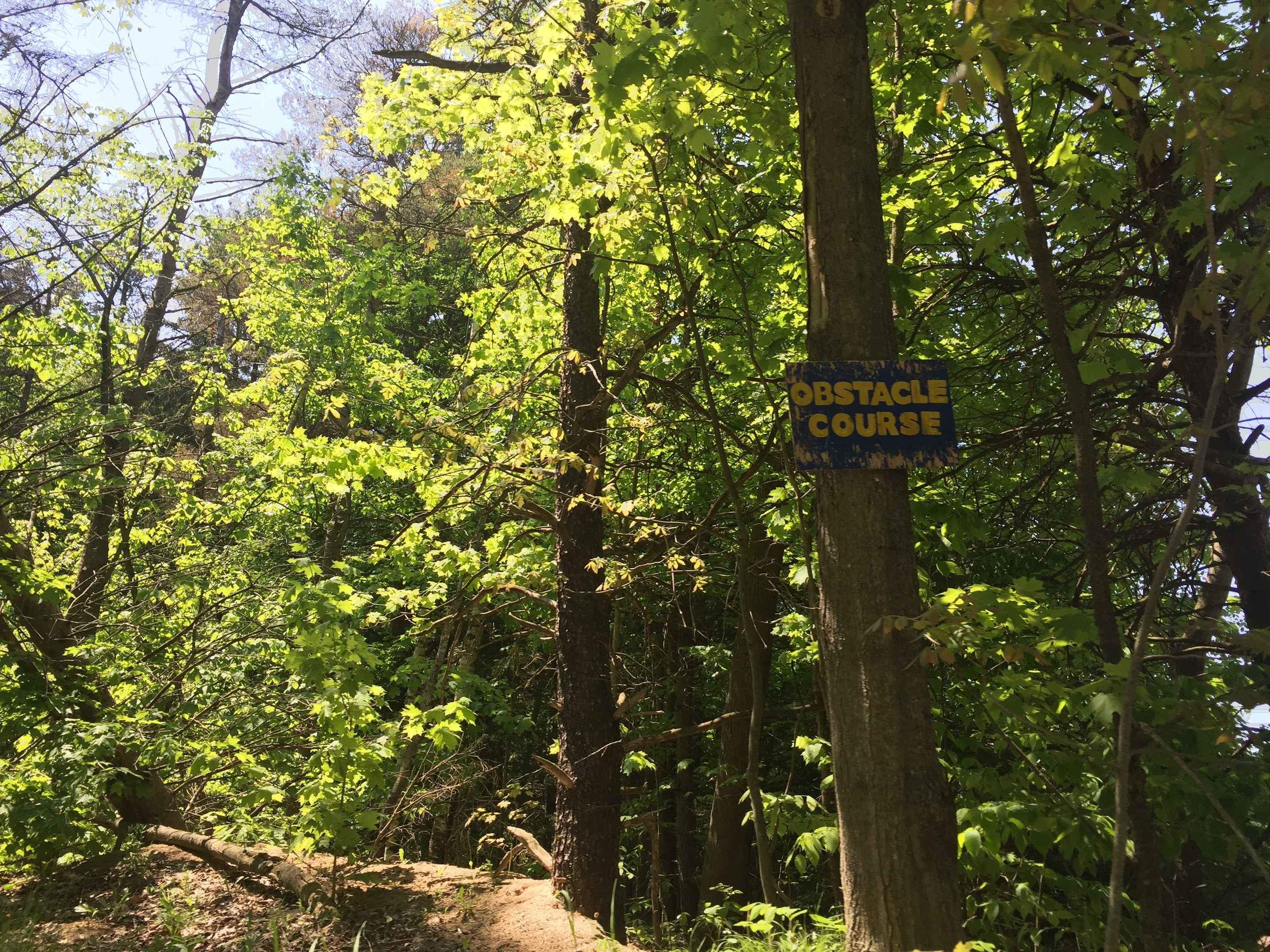 Ein Schotterweg in einem bewaldeten Gebiet, der von einem Schild mit der Aufschrift "Hindernislauf" markiert ist, mit Bäumen auf beiden Seiten und einem sichtbaren Himmel im Hintergrund.