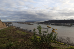 Wegen Hitze: Weitere Verschlechterung für Rhein in Mainz erwartet