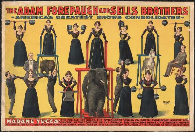 Plakat für Adam Forepaugh und Sells Brothers' America's Greatest Shows Consolidated mit einer Gruppe von Menschen auf Hockern und einem Elefanten in der Mitte sowie Text.