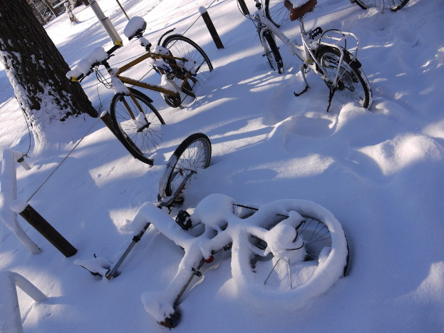 Eine Reihe von Fahrr├Ądern, teilweise von Schnee bedeckt, mit einem Baumstamm und einer Stra├če daneben.
