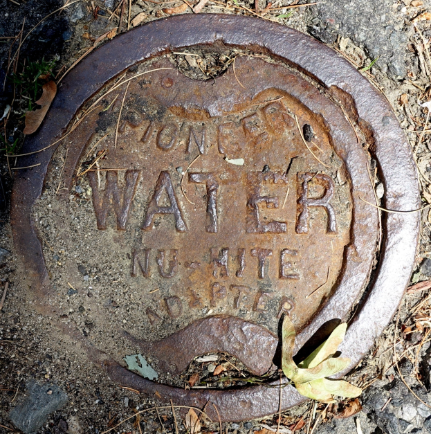 Abflussdeckel mit der Aufschrift "Wasser" auf dem Boden mit trockenen Blättern und Gras drumherum.