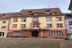 Eine Menge los auf der Clôther Mühle        Mühle, Störche und Blues
