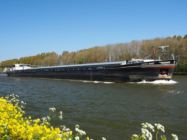 Ein großes Boot fährt einen von grünen Bäumen gesäumten Fluss unter einem strahlend blauen Himmel hinunter, mit leuchtend gelben Blumen am Boden.