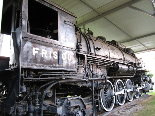 Ein Zug ist auf Schienen mit Gras darunter und einer Decke mit Stangen darüber zentriert.