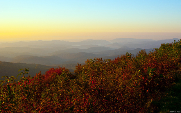 Eine Landschaft mit Bergen, Bäumen mit Pflanzen und Blumen sowie verschiedenen Grünflächen.