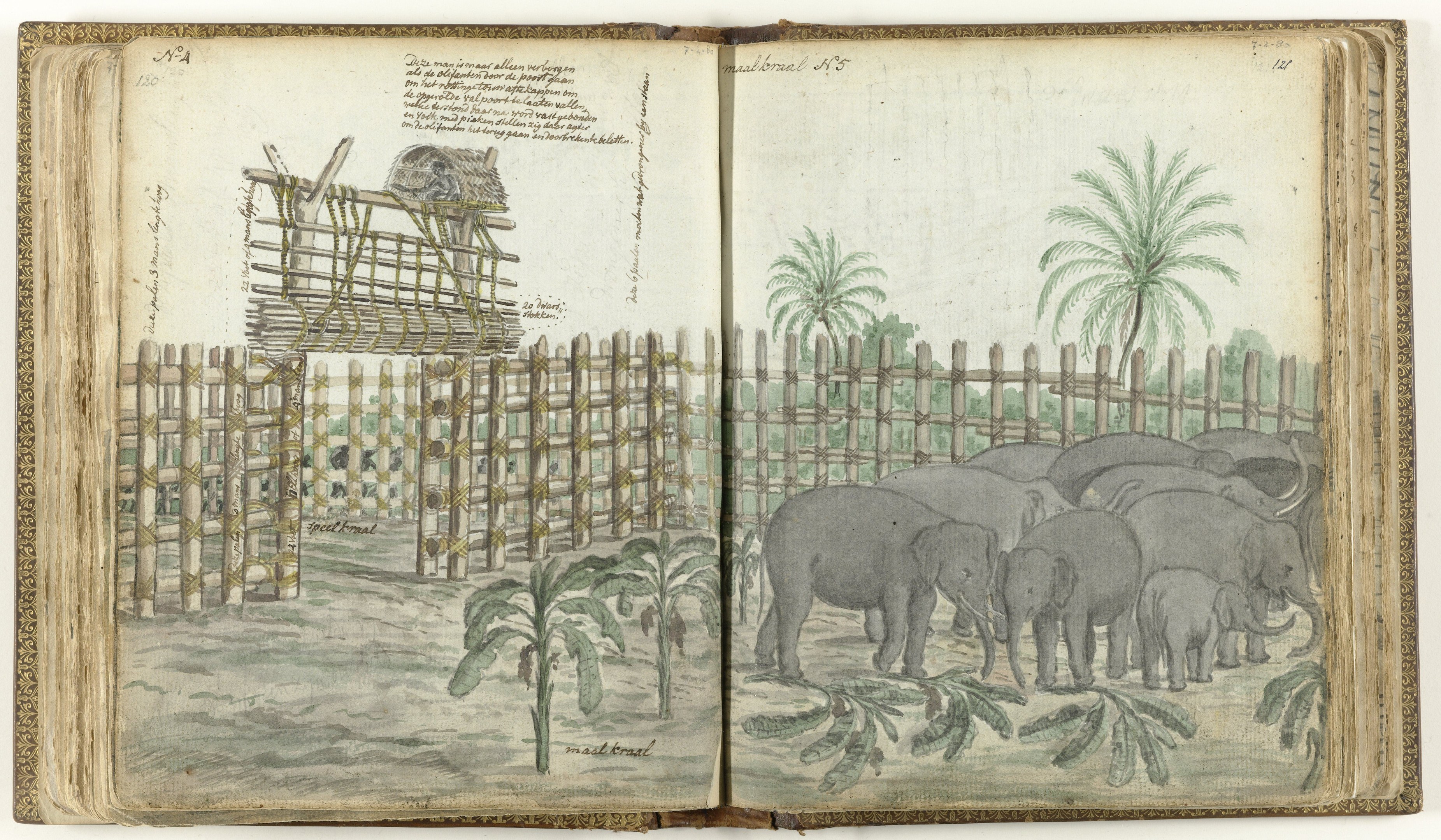 Offenes Buch mit einer Zeichnung von Elefanten in einem Zoogehege, umgeben von Bäumen, Pflanzen und einem Zaun, mit sichtbarem Text auf der Seite.