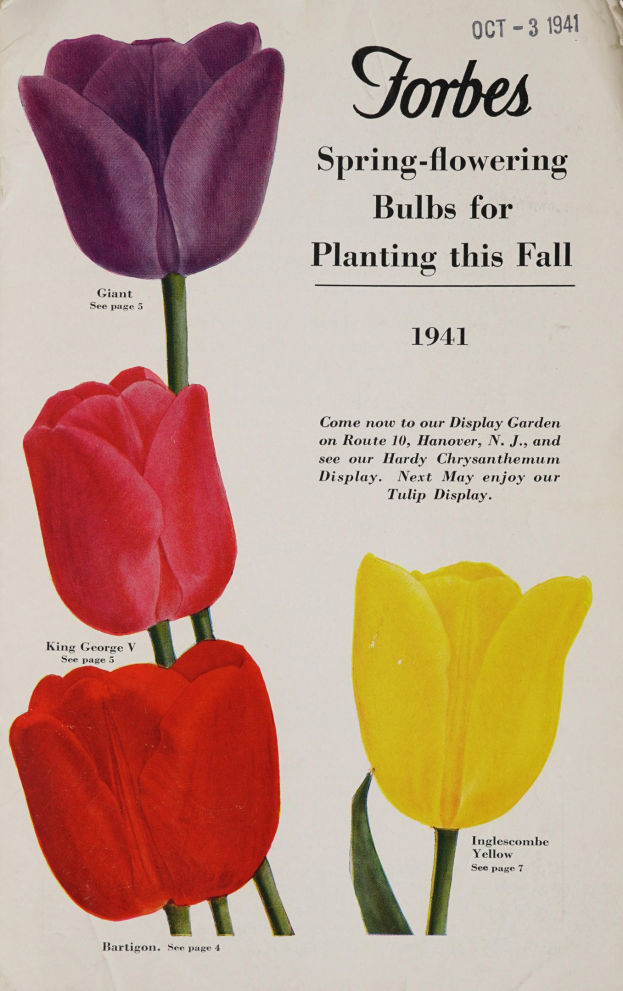 Plakat aus dem Jahr 1941 mit drei Tulpen in rot, gelb und lila, die symmetrisch mit überlappenden Blütenblättern angeordnet sind, und der Text "Forbes Frühlingsblüher für die Pflanzung diesen Herbst 1941" quer darüber.