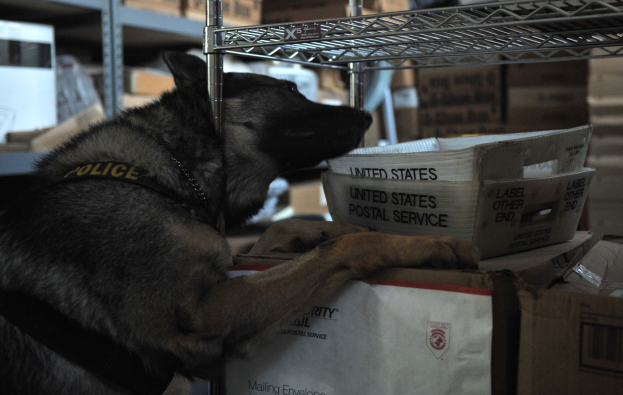 Ein schwarzer und brauner Polizei-Hund liegt auf einem Stapel Kisten in einem Lagerhaus, mit mehreren Kartonagen-Kisten in den umliegenden Regalen sichtbar.
